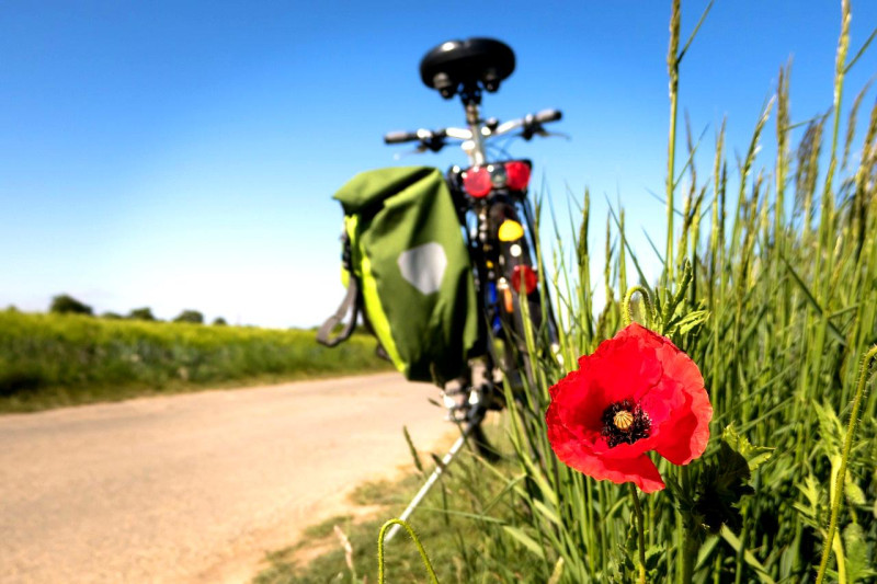 Un tour à Vélo !